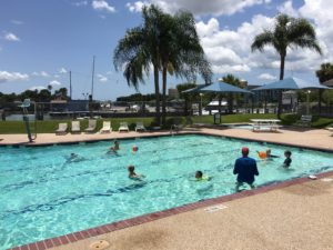 Pool_swimming